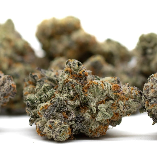 Astroboy Indoor THCa Flower (sativa)