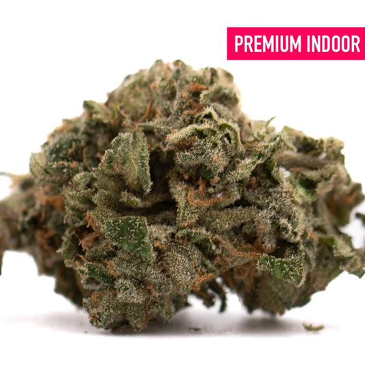 Canal Street Runtz Indoor THCa Flower (hybrid)